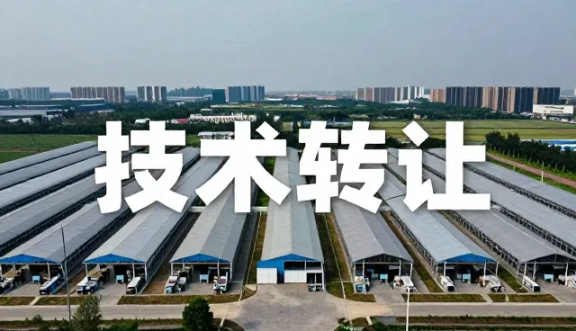 精准系统定制:如何实现业务场景中的高效匹配
