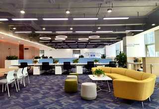 温州品质宠物排梳定制