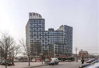 经济开发区多色系花卉租赁报价