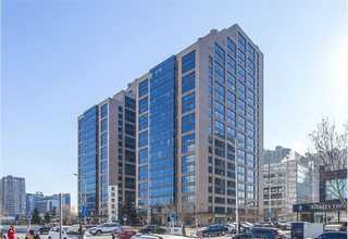 上海培育宠物磨牙零食好选择