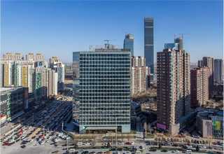 北京黄月子米去哪买